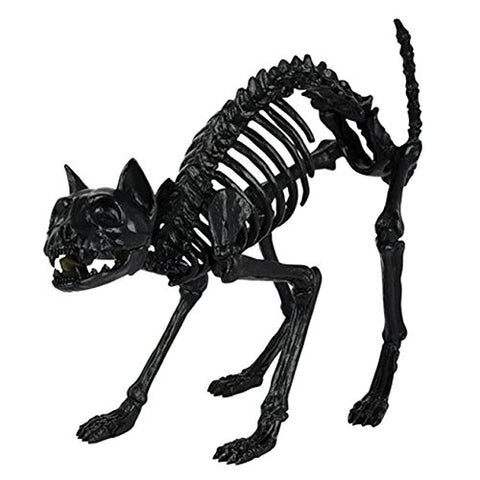 Crazy Bonez Skeleton Cat