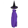 Evursua Witch Halloween Costumes for Girls Pretend Play Cape and Hat Double Side