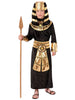 Forum Novelties Pharaoh Costume