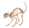 Crazy Bonez Skeleton Cat