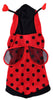 Lady Bug Pet Costume